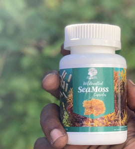 Wildcrafted Sea Moss Capsules