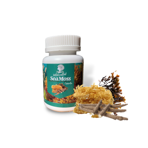 Wildcrafted Sea Moss Capsules with Bladderwrack and Burdock Root