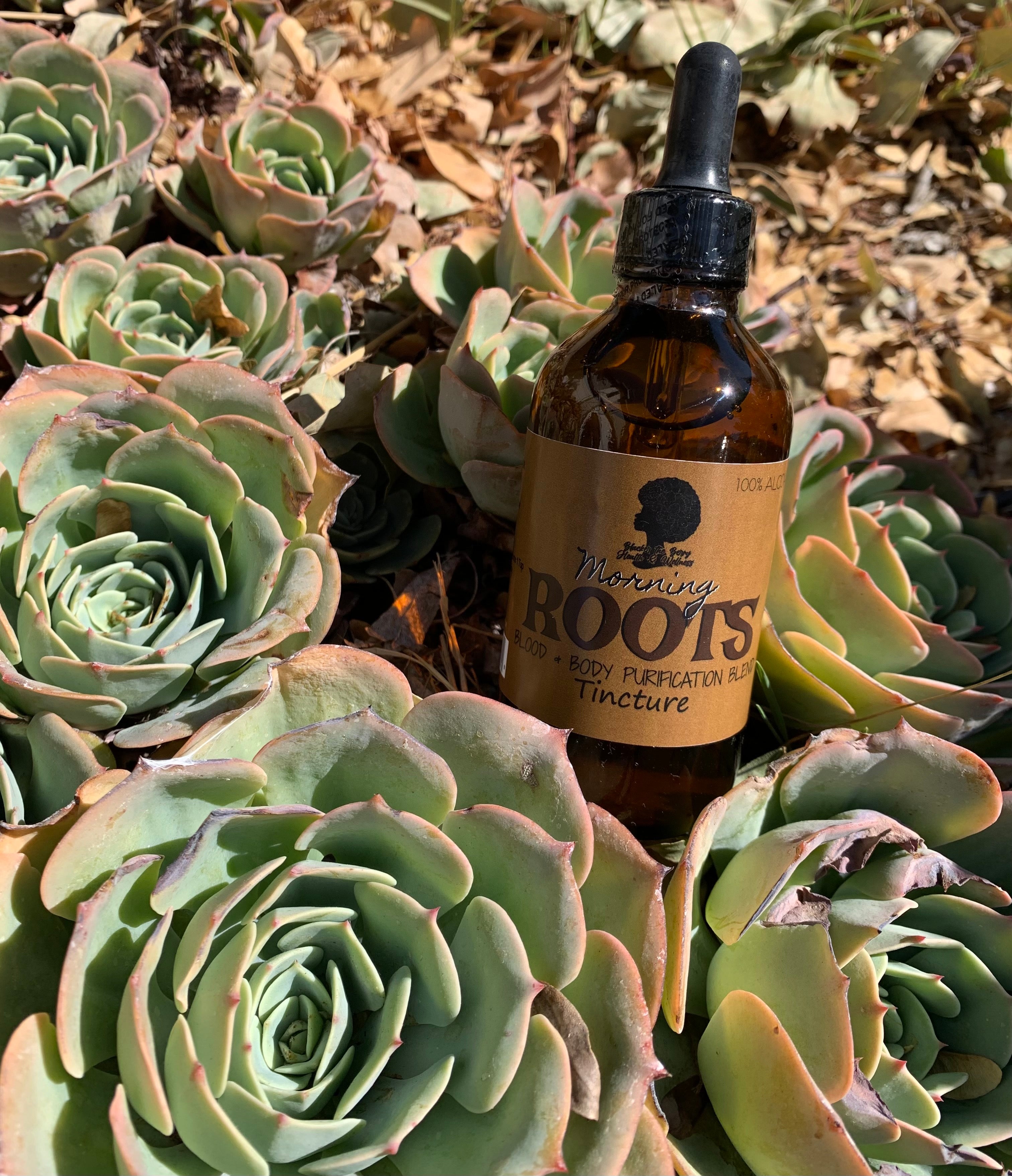 Morning ROOTS - BLOOD & BODY PURIFYING TINCTURE BLEND